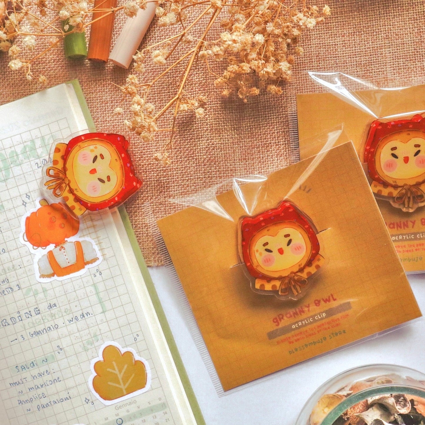 Paper Clip - Granny Owl